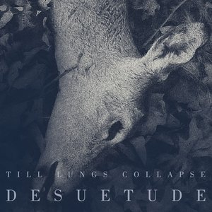 Desuetude