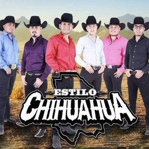Estilo Chihuahua 的头像