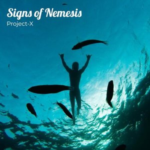 Signs of Nemesis