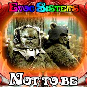 Image for 'Evoc Sisters'