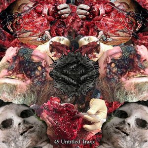 49 Untitled Traxx