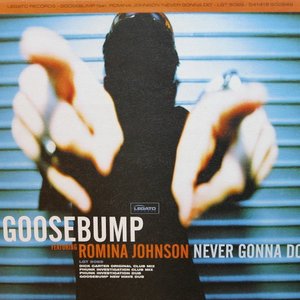 Never Gonna Do