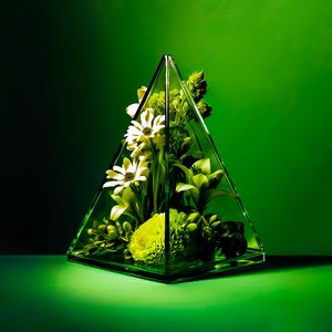 Murphy's Law - Single