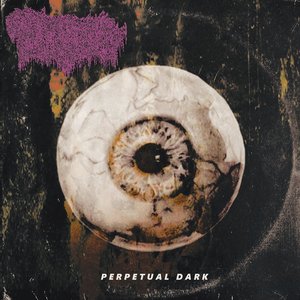 Perpetual Dark