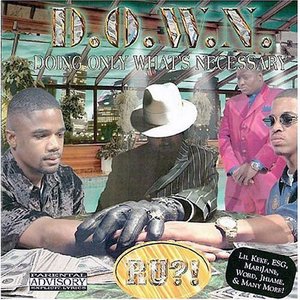 D.O.W.N. 的头像
