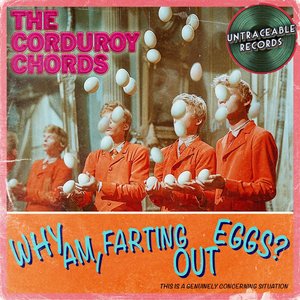 Why am I farting out eggs? - Single