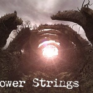 Power Strings 的头像