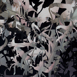 Monochrome