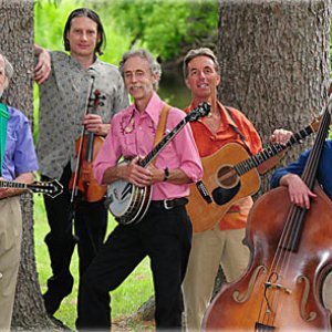 Banjo Dan And The Mid-Nite Plowboys 的头像