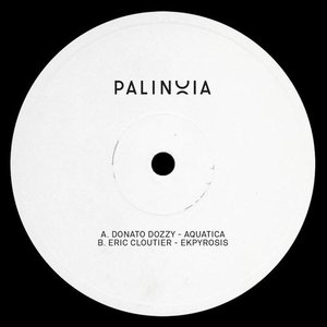 Palinoia Ltd 001 - Single