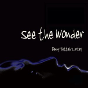 See The Wonder