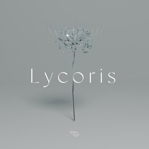 Lycoris