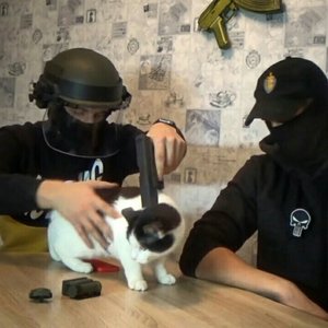 715 TEAM 的头像
