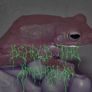 Behold the Amphibian 的头像