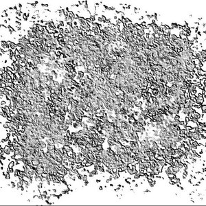 Avatar for Anal Bacteria