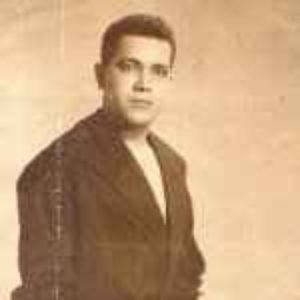 Almir Ribeiro 的头像