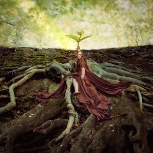 Roots
