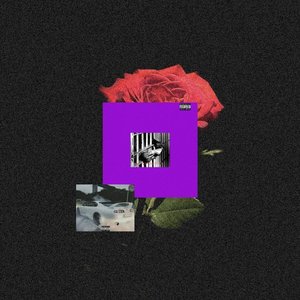 SORRY [Explicit]