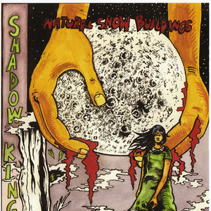 Shadow Kingdom cover