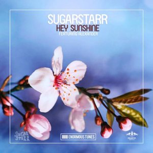 Hey Sunshine (feat. Alexander) [Remixes] - EP