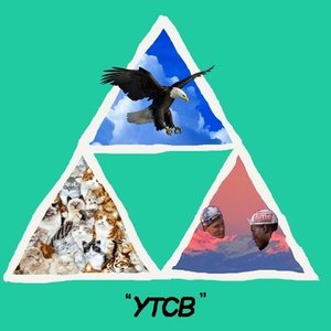 Young Triforce Cat Baron 的头像
