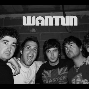 wantun 的头像