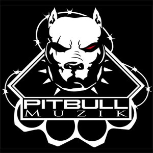 PITBULL Muzik