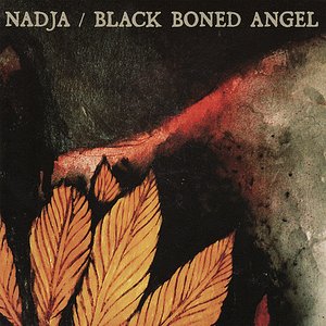 Nadja / Black Boned Angel
