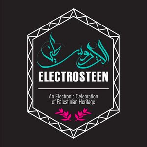 Electrosteen