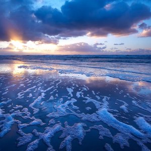 Ocean Music 的头像