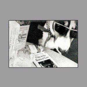 A Spy In The House Of Love