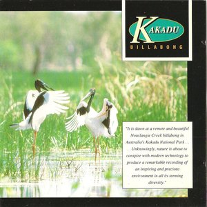Kakadu Billabong