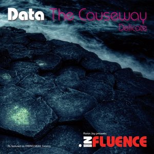 The Causeway / Delicate - Single