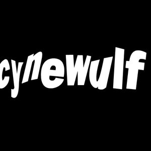 Cynewulf 的头像