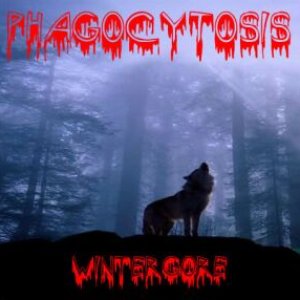 Phagocytosis 的头像