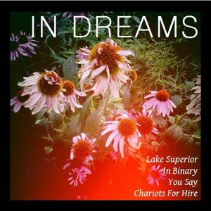 In Dreams