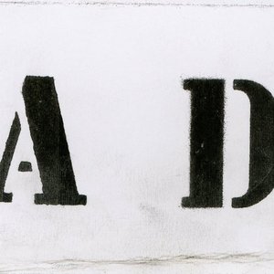 Active Denial 的头像