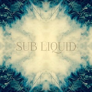 Sub Liquid 的头像