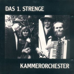 Avatar for Das 1. Strenge Kammerorchester