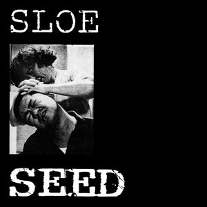 Seed