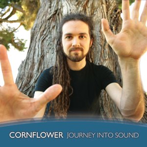 Journey into Sound