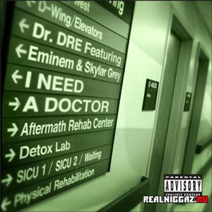 Dr. Dre Ft. Eminem And Skylar Grey のアバター