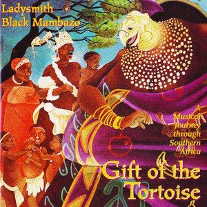 Immagine per 'Gift of the Tortoise'