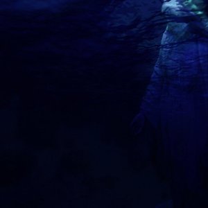 Deep Sea