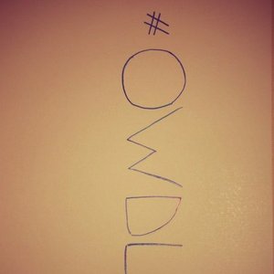 #OWDLM 的头像
