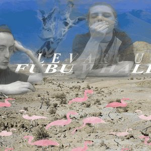 Fubu Whales 的头像
