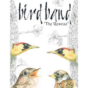 Bird Band 的头像