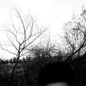“Envisage”的封面