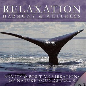 Relaxation: Harmony & Wellness 的头像