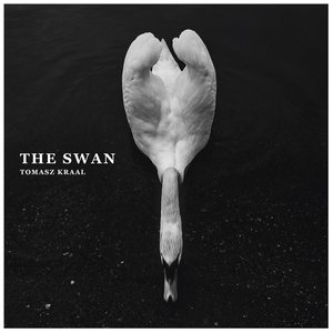 The Swan - Single